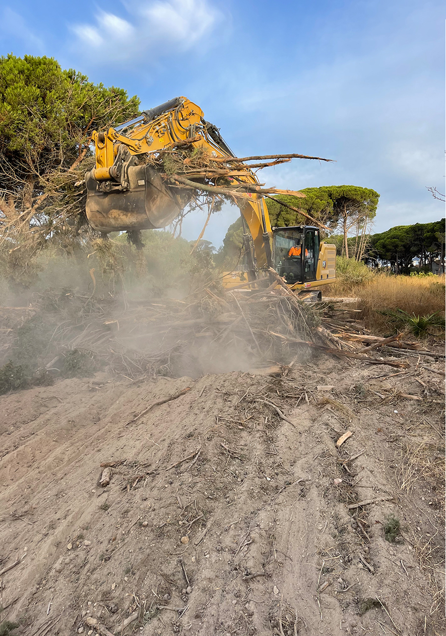 Desbroces y replanteos